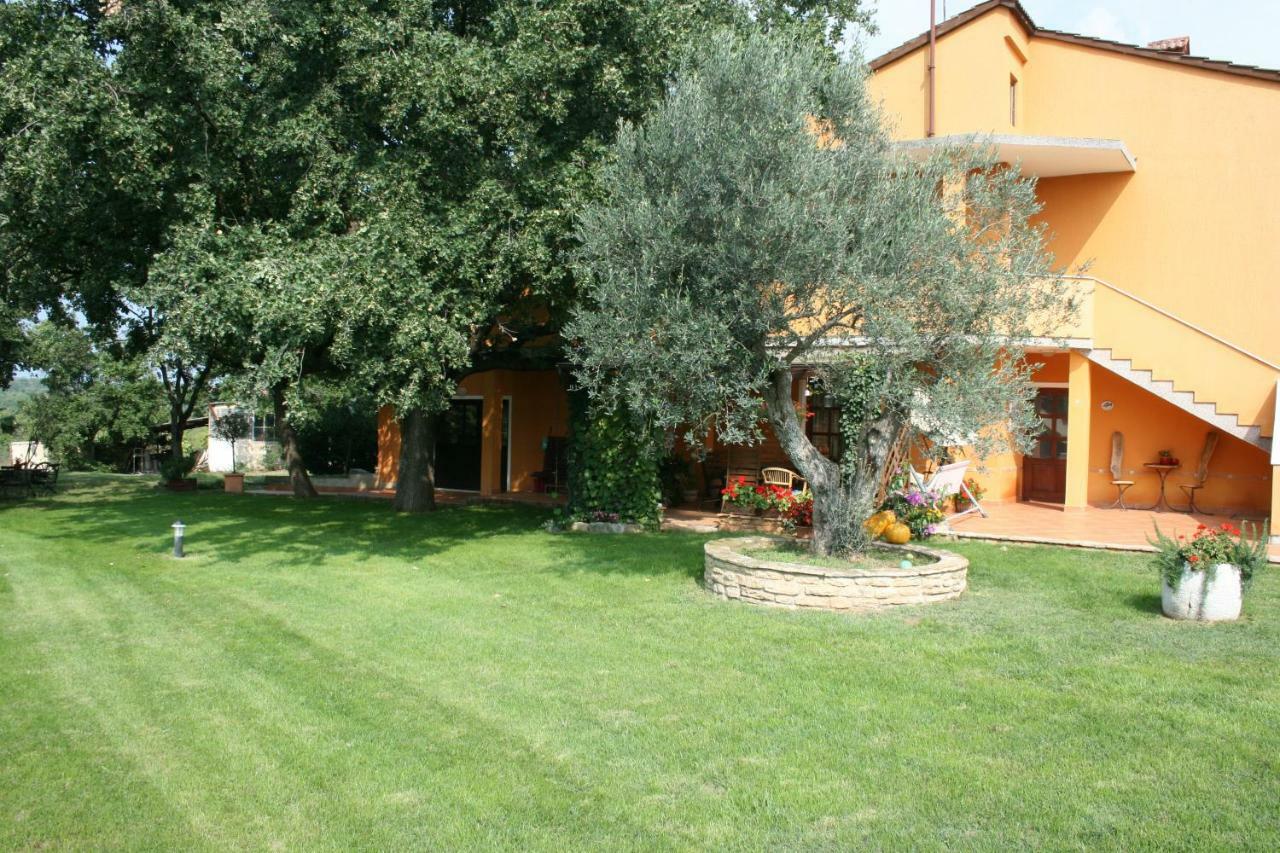 Sossa Apartments Umag Exterior foto